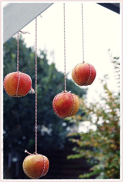 Hoạt động giải trí ăn táo bãi biển đầy tiếng cười trong kỳ nghỉ hè của công ty