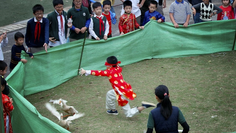 Luật chơi bịt mắt bắt vịt rõ ràng công bằng