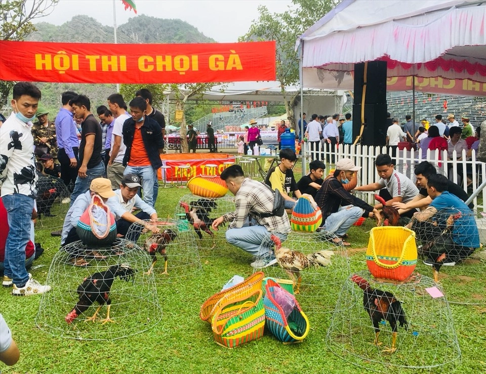 Trò chơi dân gian chọi gà mang đậm bản sắc Việt