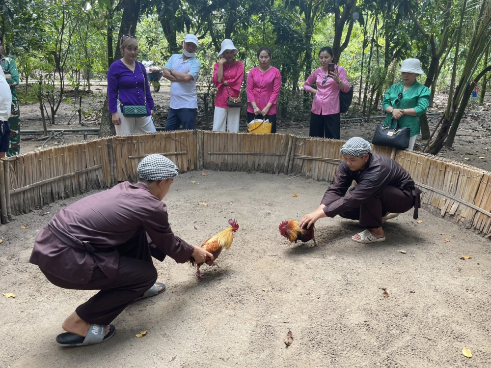 Luật chơi chọi gà dân gian được lưu truyền lâu đời