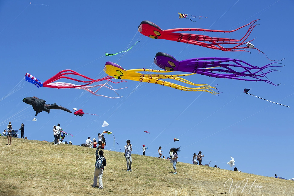 Mẹo thả diều giúp diều bay cao và ổn định