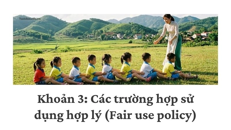 Khoản 3: Các trường hợp sử dụng hợp lý (Fair use policy)