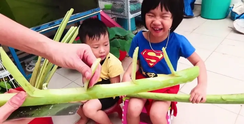 Nguồn gốc Trò chơi dân gian Bắn Súng Chuối truyền thống Việt