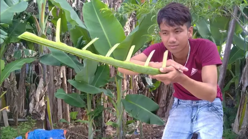 Ý nghĩa Trò chơi dân gian Bắn Súng Chuối với trẻ em hiện nay