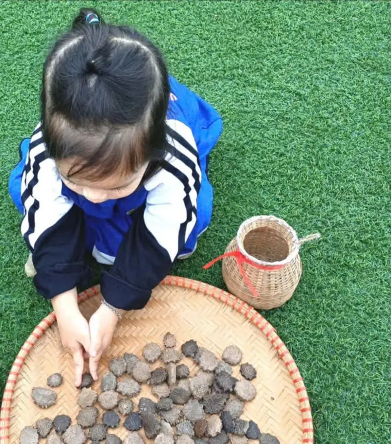 Trò chơi Cắp cua bỏ giỏ vui nhộn trong sân trường