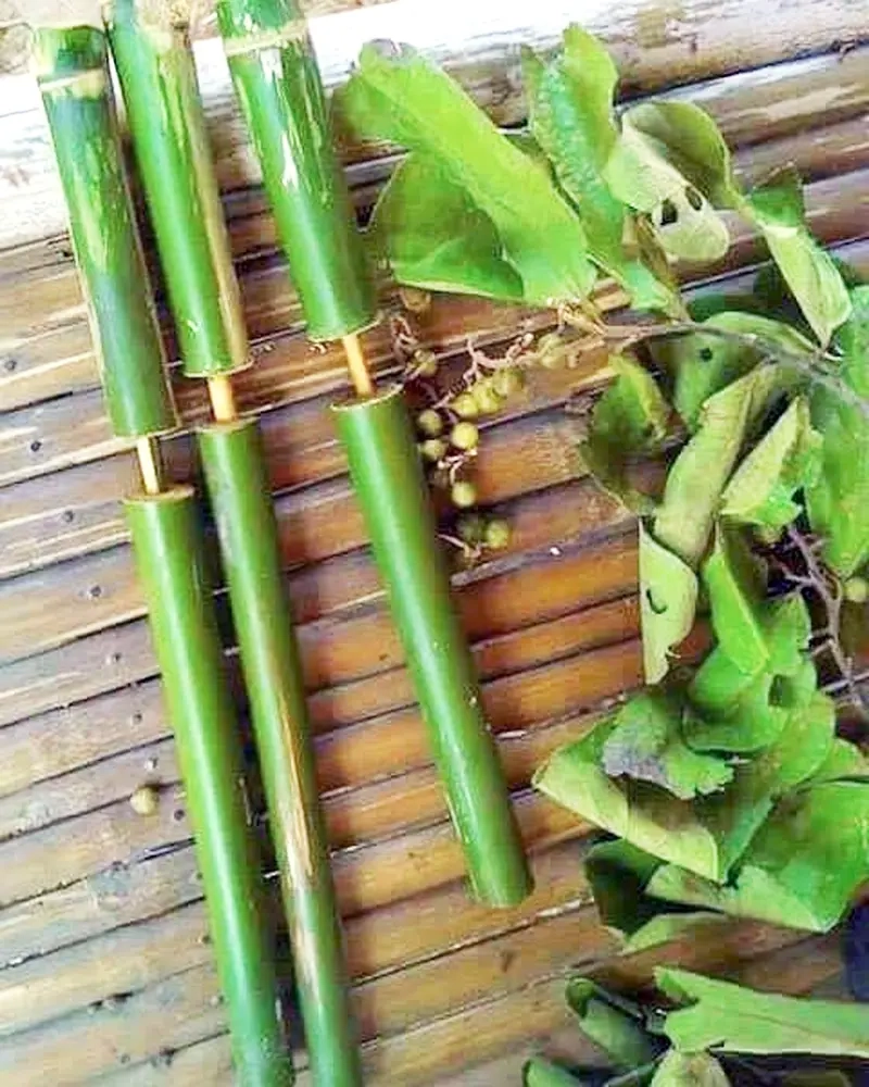 Làm súng thụt vui nhộn cho trẻ em cùng gia đình