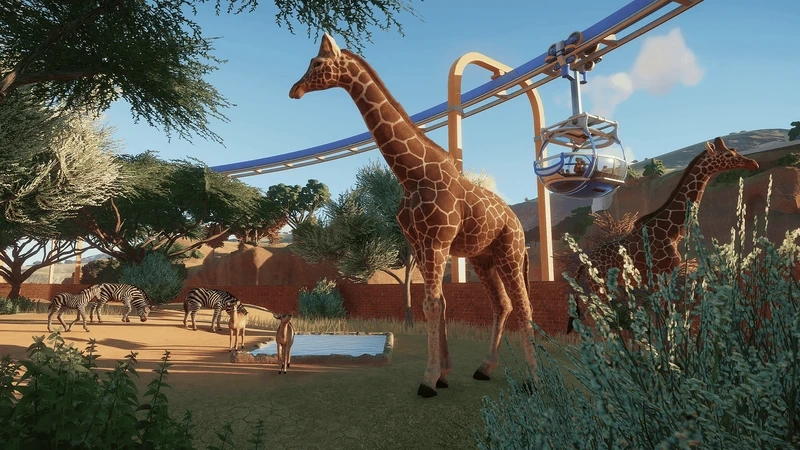 Mua và chơi chính chủ zoo planet steam