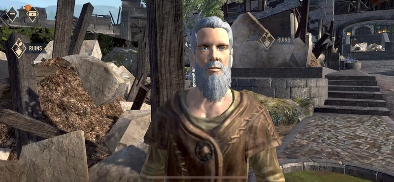 Chuẩn bị trước khi chơi The Elder Scrolls: Blades