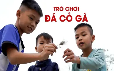 Cách chơi Chọi cỏ (Gà cỏ) đúng luật, dễ hiểu cho người mới