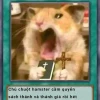 Khám phá thế giới meme lá bài: Từ Yugioh đến Florentino