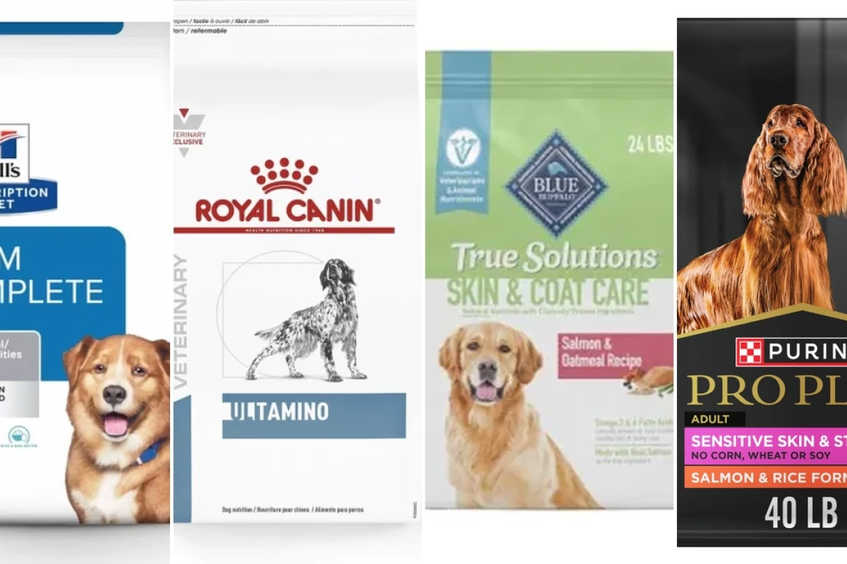 Best dog food for allergies and skin issues in 2026
