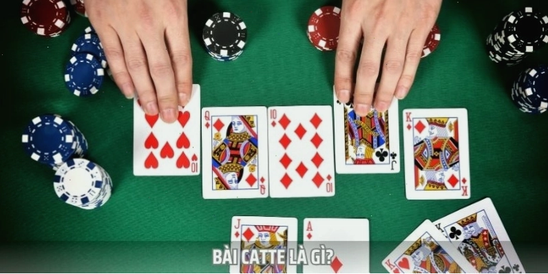 Bài Catte là tựa game phổ biến