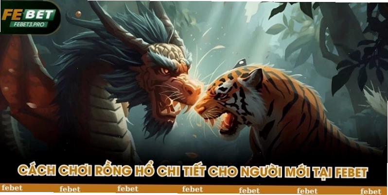 Cách chơi Rồng Hổ chi tiết cho người mới tại FEBET