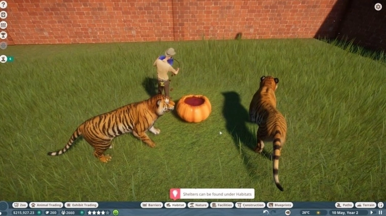 Chăm sóc hổ trong Planet Zoo