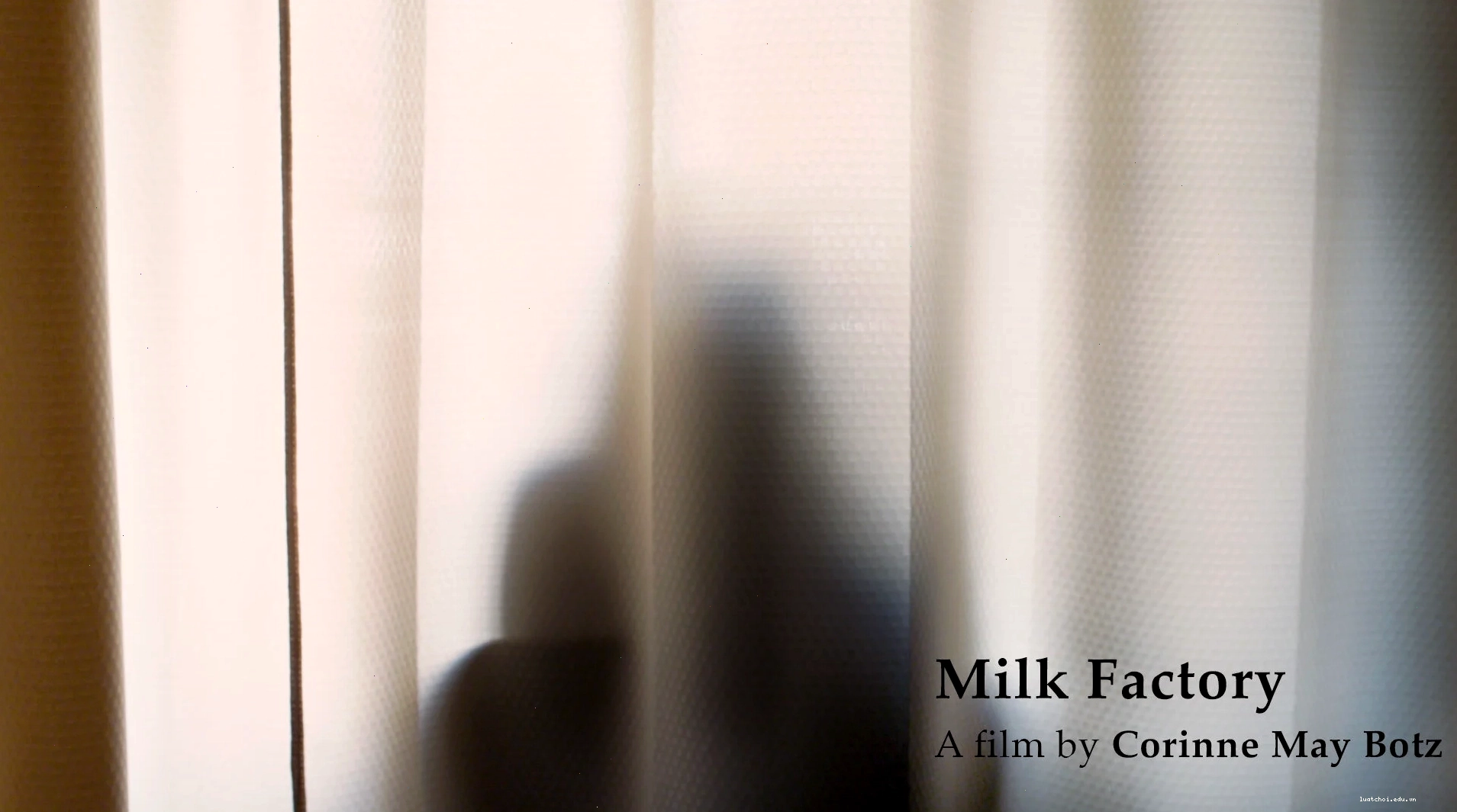 Chứng nhận chất lượng quốc tế của Milk Factory