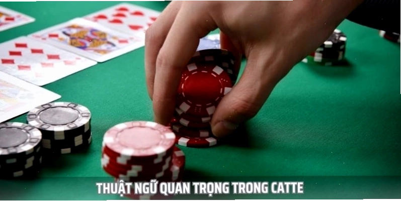 Hình ảnh minh họa các thuật ngữ trong bài Catte