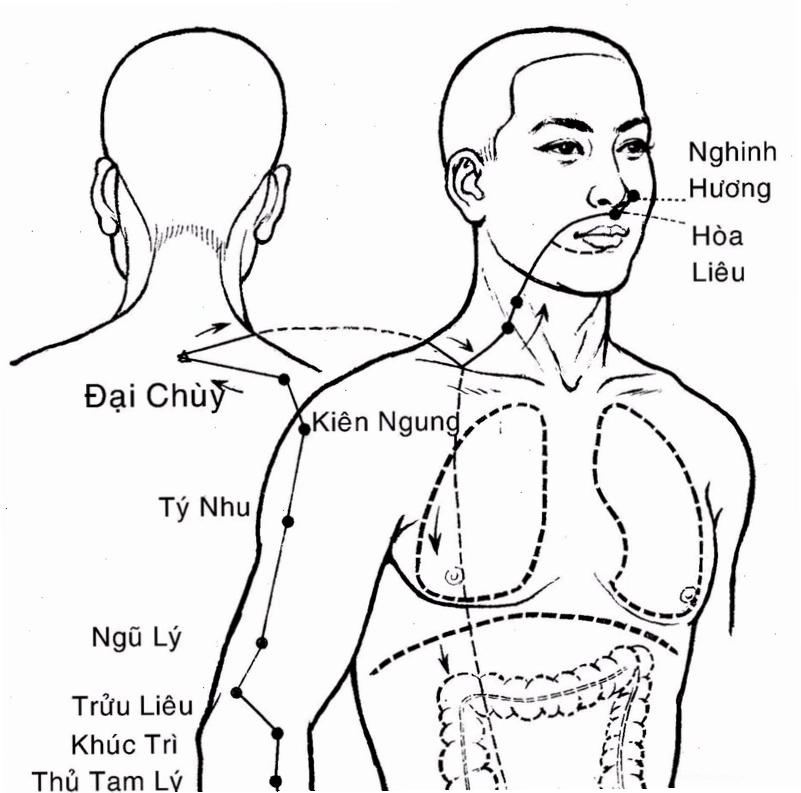 Hướng dẫn cách tự bấm huyệt Kiên Ngung