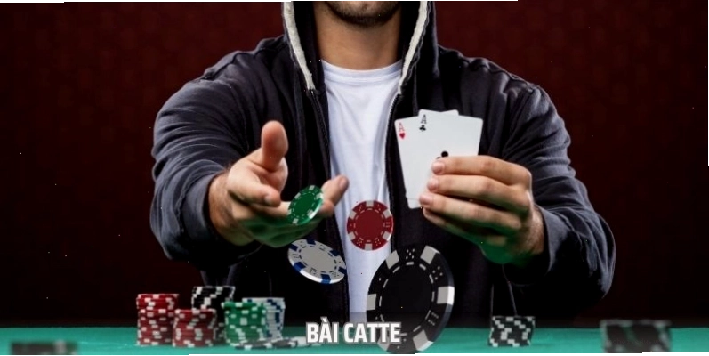 Hướng dẫn đánh bài Catte chuẩn chỉnh