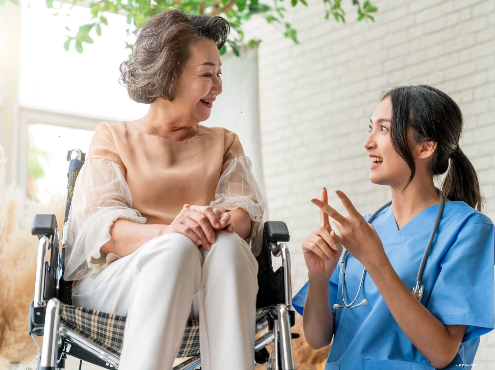 Khối B03 là tổ hợp xét tuyển vào các ngành liên quan đến y học và chăm sóc sức khỏe