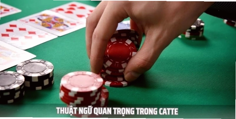 Minh họa các thuật ngữ thường gặp trong bài Catte