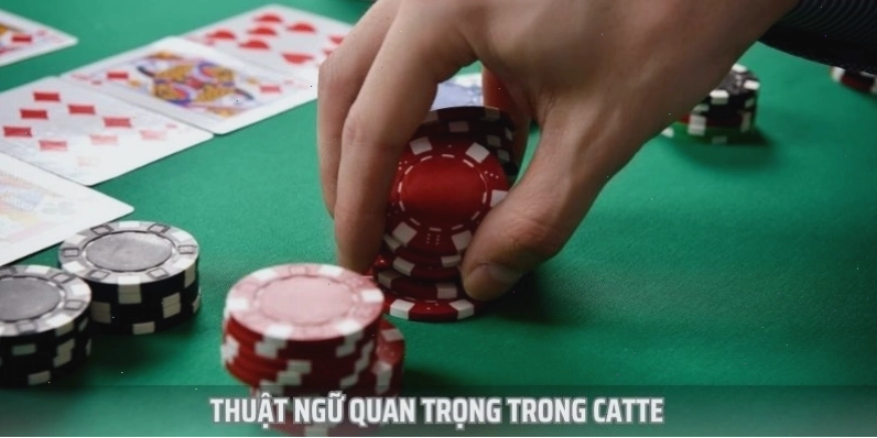 Minh họa một số thuật ngữ thường gặp trong bài Cát Tê