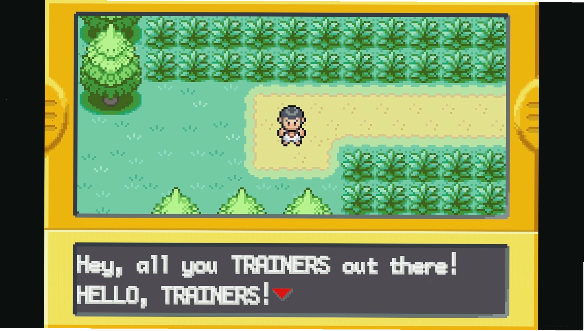 Nhân vật chào mừng trong Pokemon FireRed and LeafGreen