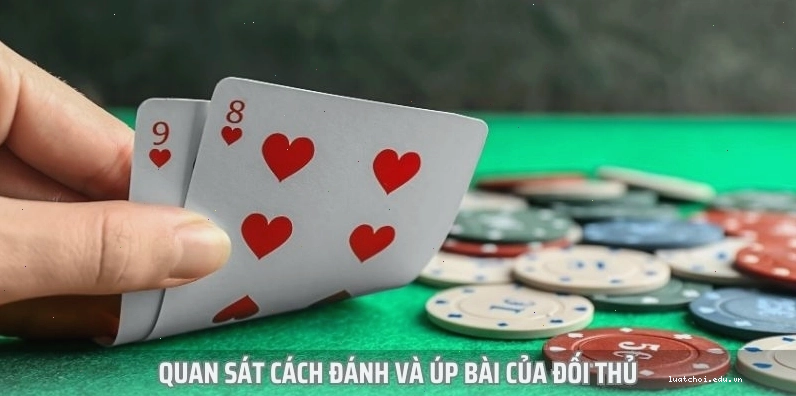 Quan sát đối thủ khi chơi bài Catte