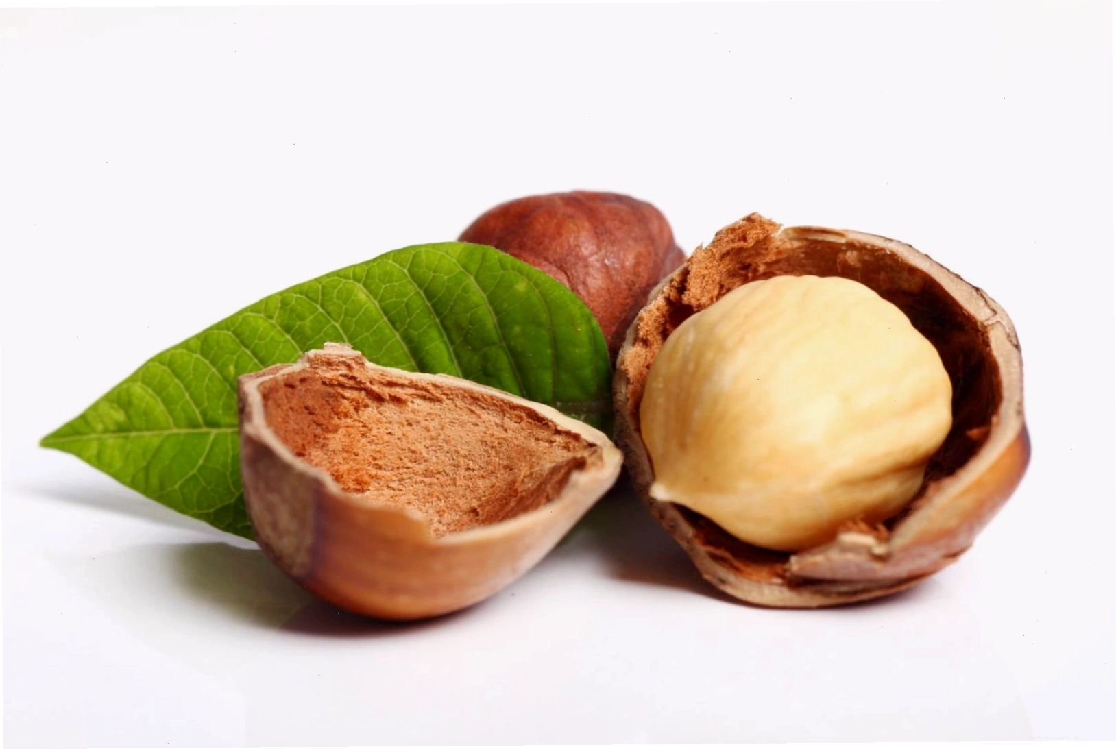 hat macadamia