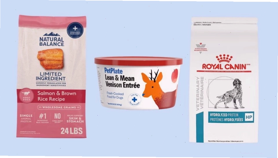 Various dog food brands including Natural Balance and Royal Canin