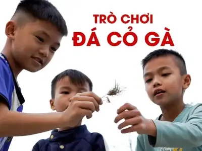 Cách chơi Chọi cỏ (Gà cỏ) đúng luật, dễ hiểu cho người mới