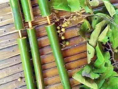 Làm súng thụt - Bí quyết chơi thắng và luật chơi chi tiết