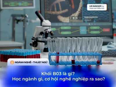 Bo3 là gì? Khám phá các tổ hợp xét tuyển và ý nghĩa trong học thuật 2026