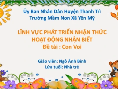 Khám Phá Thế Giới "Trò Chơi Con Voi": Hành Trình Giải Trí Đa Sắc Màu