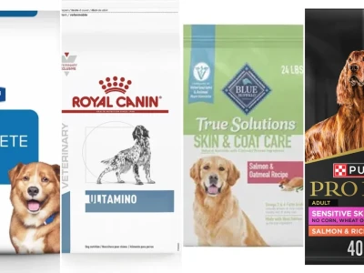 Best dog food for allergies and skin issues in 2026